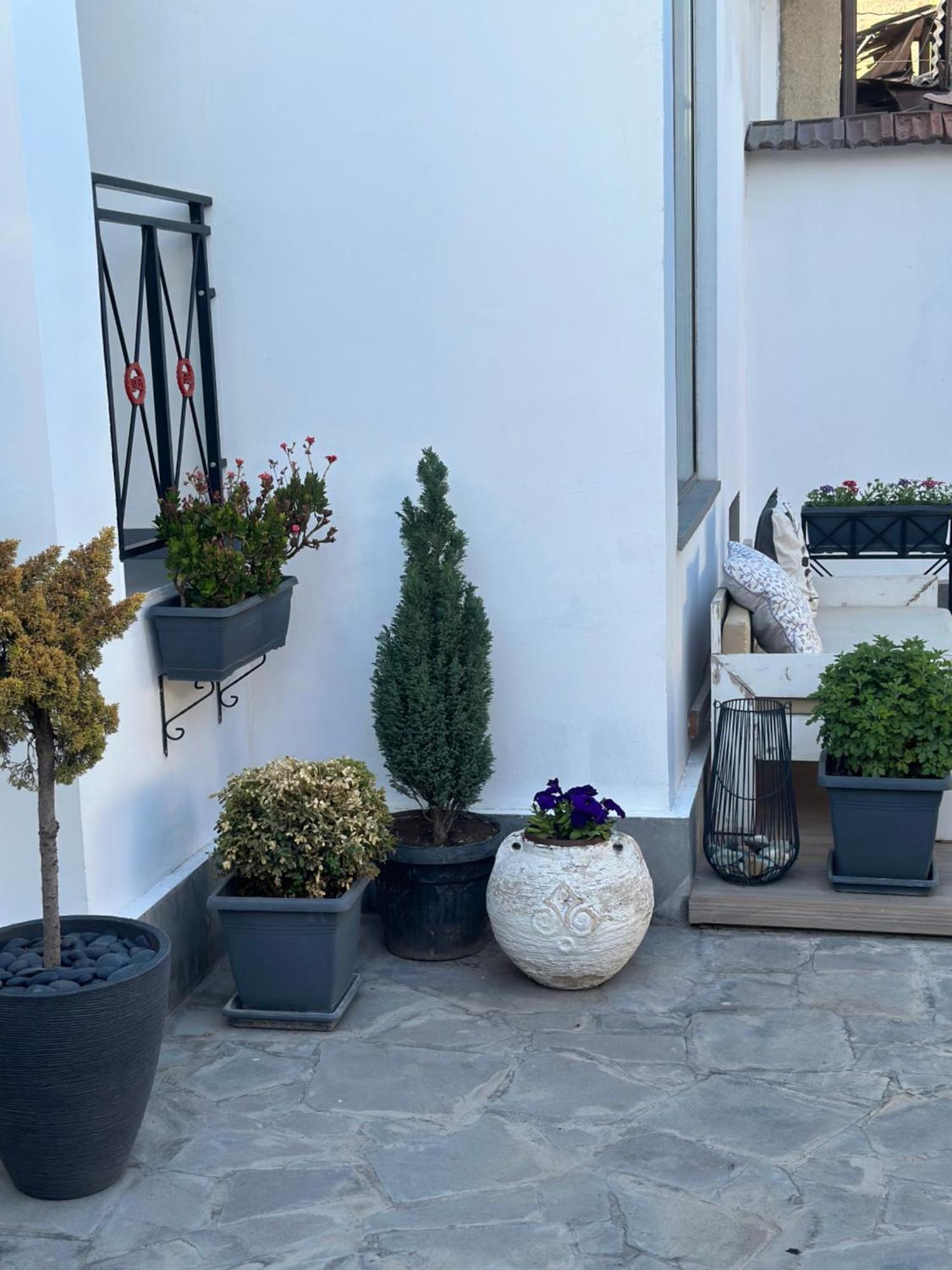 Bed & Breakfast Garden Lounge *