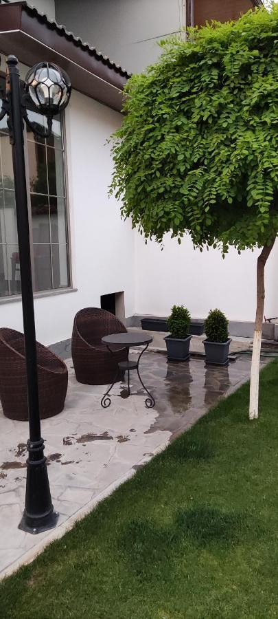 Garden Lounge