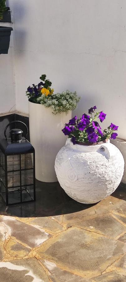 Garden Lounge * Erevan